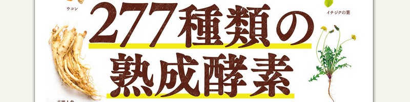 �X�����T�|�[�g�y�f���{���T�C�g